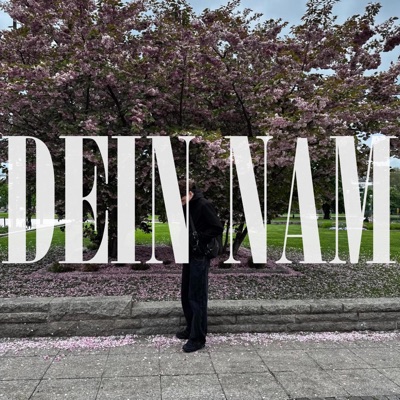 DEIN NAM (feat. Icy) - Single
