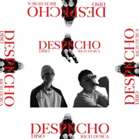Despecho - Single - RICH DUBUA, Diso & Screamchill'S