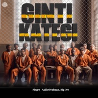 Ginti Kategi (feat. Shashank Sharma) - Single - Bigdee & Freshlee