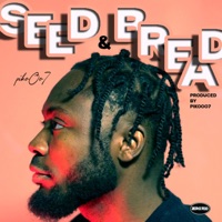 Seed and Bread - Single - pikoOo7