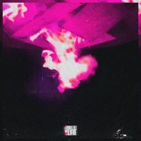 WILDFIRE (SLOWED) - Single - FUZION & Zeli