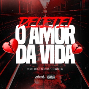 Deletei o Amor da Vida