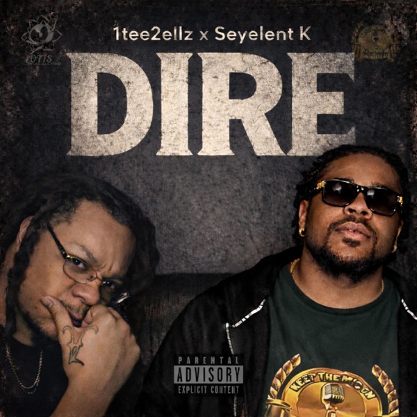 DIRE (feat. Seyelent K)