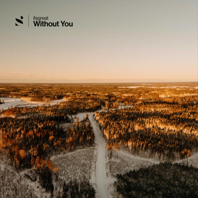 Without You - Single