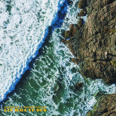 Liv Wha Yu Dub - Single