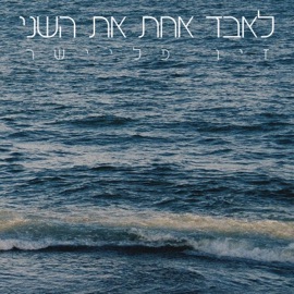 לאבד אחת את השני Ziv Fleisher