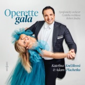 Operette gala artwork