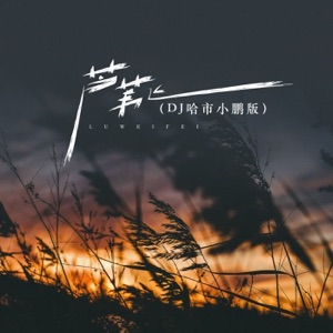 芦苇飞 (哈市DJ小鹏2024) [哈市DJ小鹏2024] - Single