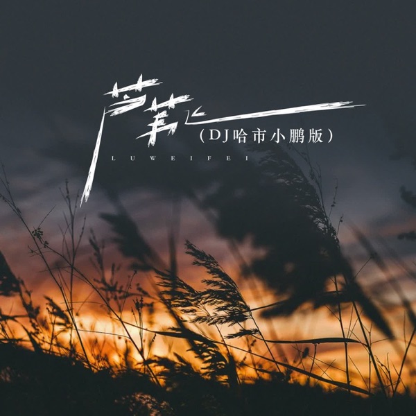 芦苇飞 (哈市DJ小鹏2024) [哈市DJ小鹏2024] - Single