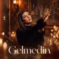Gelmedin