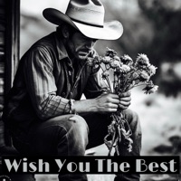 Wish You The Best - Single - Tripp Avenue