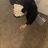 OnlyDuckinDaFedz
