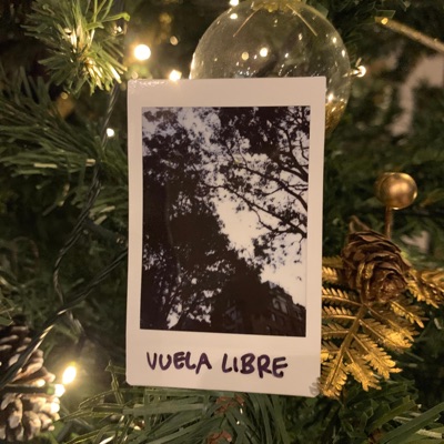 VUELA LIBRE (feat. Loyal Paruta) - Single