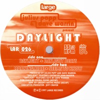 Daylight (feat. Dave Warrin) - EP - Julius Papp