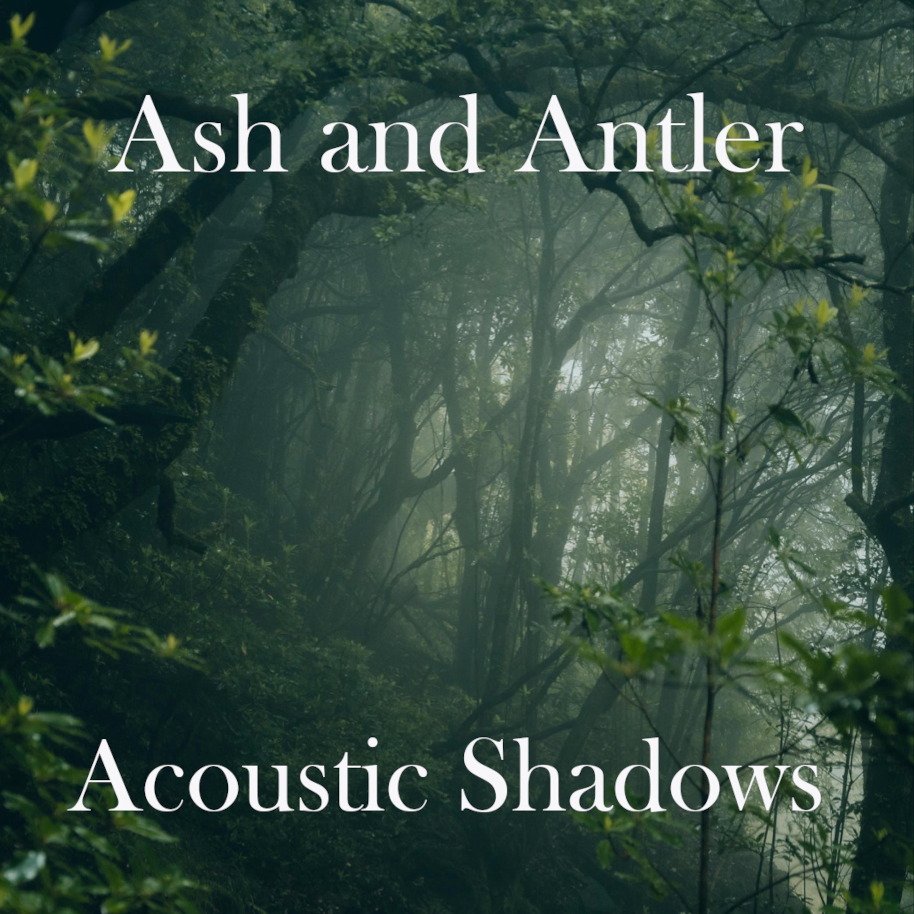 Acoustic Shadows