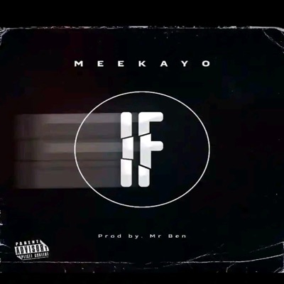 IF (feat. Meekayo) - Single