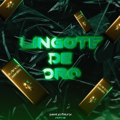 Lingote De Oro (feat. DripSTiM) - Single