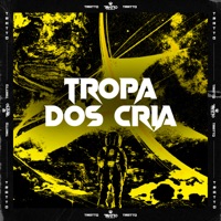 Tropa dos Cria (feat. DJ BM PROD) - Single - MC GD BH