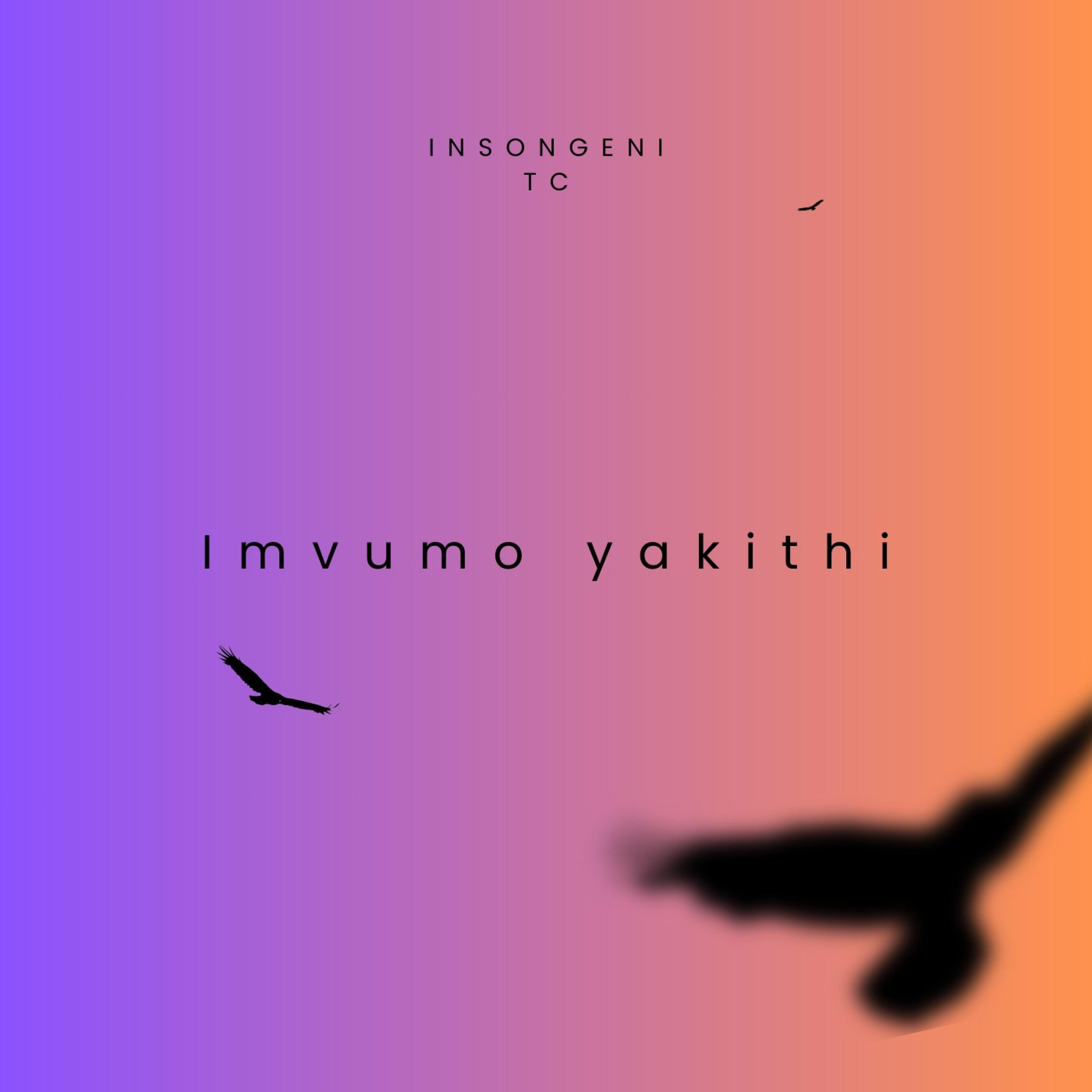 Imvumo yakithi - Single