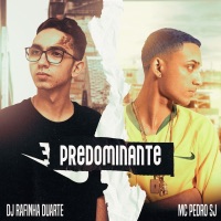 Predominante - Single - DJ Rafinha Duarte, Mc Pedro SJ & STS