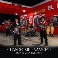 CUANDO ME ENAMORO - Single - Distinto & Conjunto Falso