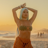 Rj 40 Graus - Single - Mc Thay RJ