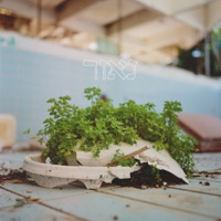 נאור (feat. אופק עבוד & Mish Bejerano) - Single - Fass