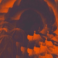 Live At 424 - Velvet Meadow