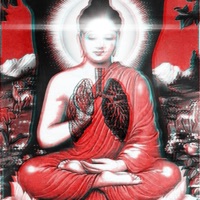 VITRINES - Single - SKAR 888