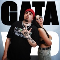 Gata - Single - Lcv