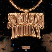 Sumando 1000KY (feat. El Kris VL, 333xplicit, The KM & Sabdel ss) - Single - Leandro Rey