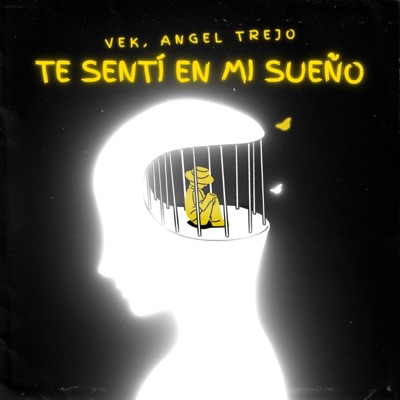 te sentí en mi sueño - Single