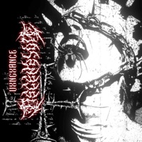 ASCENSION - Single - VXNGXANCE