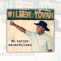Wilmer Tovar - Pobre pero sin Afan