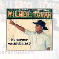 Pobre pero sin Afan — Wilmer Tovar