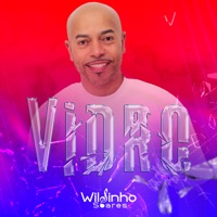 Vidro (Ao Vivo) - Single - Wilsinho Soares