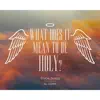 What Does it Mean to be Holy