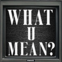 What U Mean? (feat. SLP) - Single - Swave