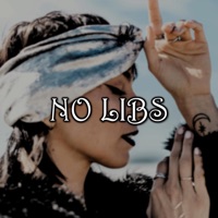 No Libs (feat. Bugzmain1) - Single - Ash Skys