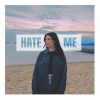 Hate Me (Hollywood Principle Remix) - Single - Sinejan & Hollywood Principle
