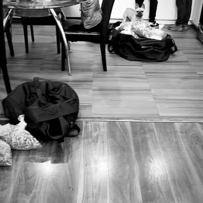 Not In Love - Single