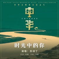 时光中的你 (纪录片《中华》主题歌) - Single - Shiding Su