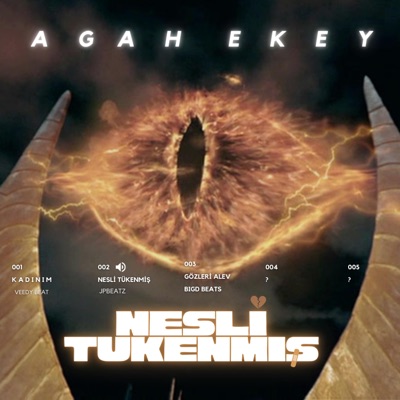 NESLİ TÜKENMİŞ - Single