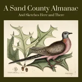 A Sand County Almanac: And Sketches Here and There (Unabridged)