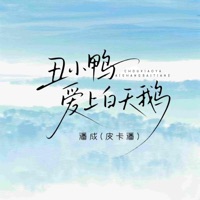 丑小鸭爱上白天鹅 (赏音DJ轩仔版) - Single - 潘成(皮卡潘)