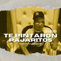 Te Pintaron Pajaritos - Single - Tomy DJ & Luuken JC