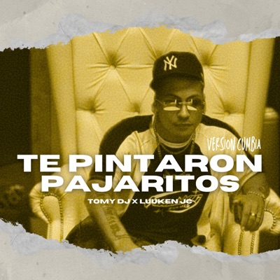 Te Pintaron Pajaritos - Single