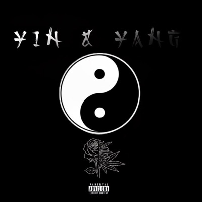 Yin & Yang
