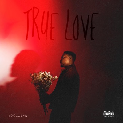 True love - Single