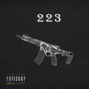 223